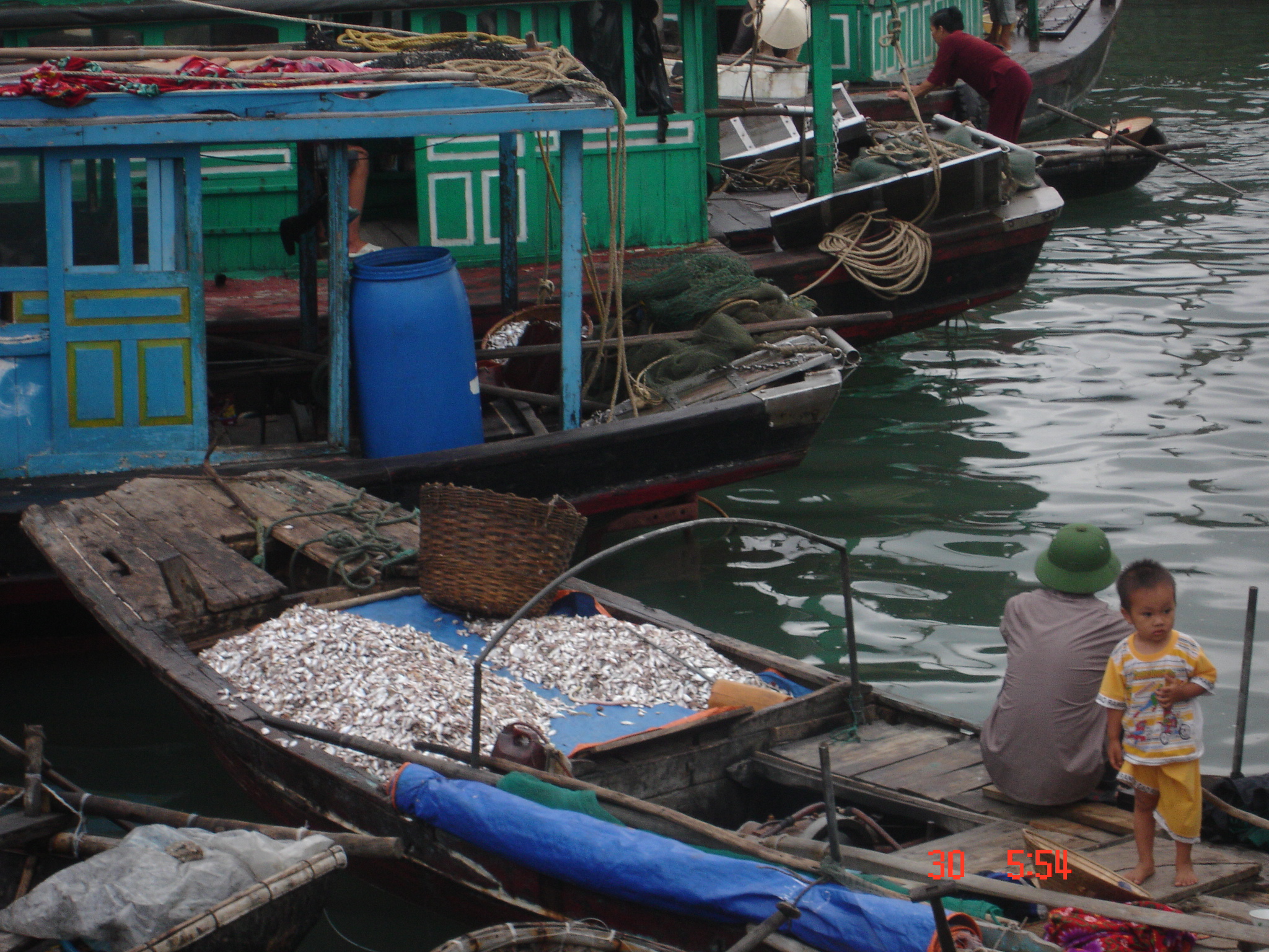 Ba Ria - Vung Tau: Total aquaculture production increased by 8.89%
