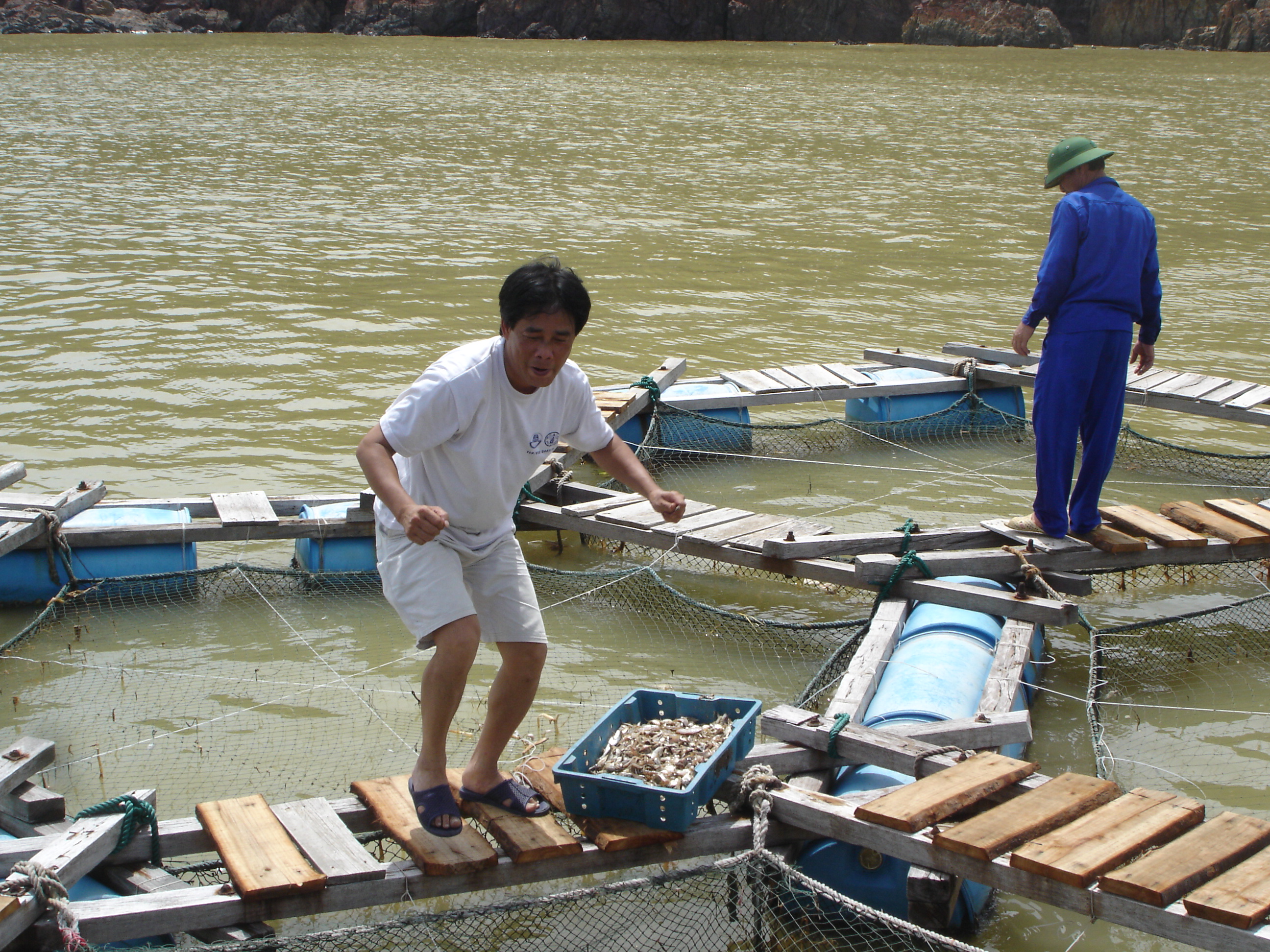Quang Ninh province: The total production of fisheries increased by 4.8 percent