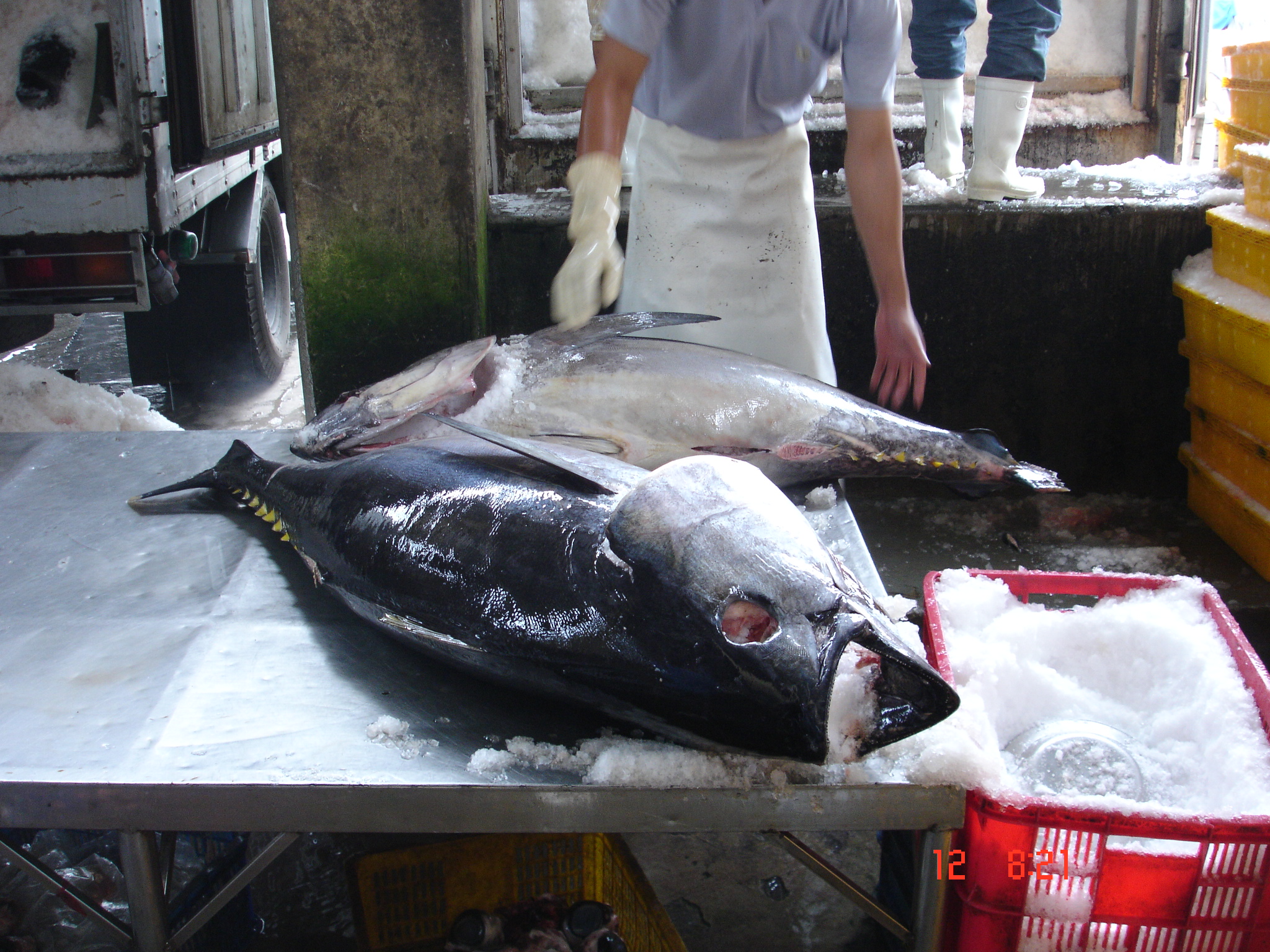 Japan increased tuna imports from Viet Nam