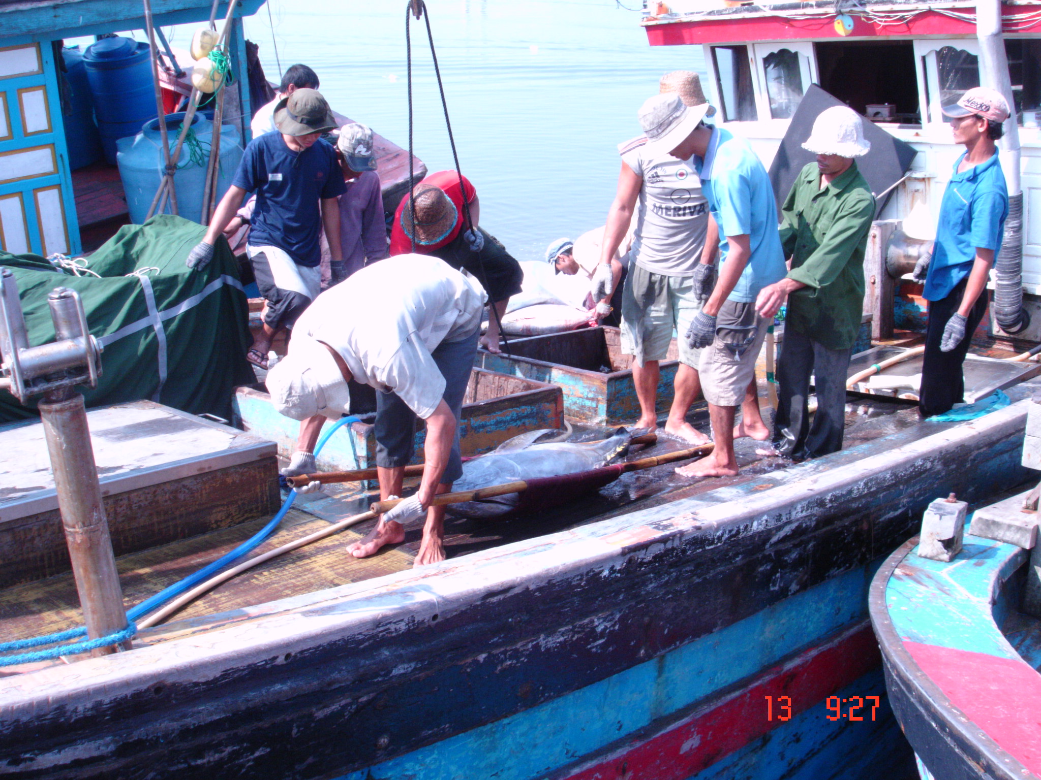 Shifting seafood exports to ASEAN