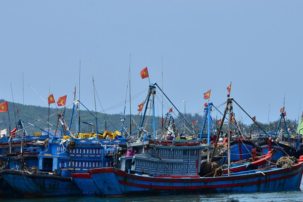 Tỷ lệ lắp đặt thiết bị giám sát hành trình tàu cá trên địa bàn tỉnh Quảng Ngãi còn thấp so với bình quân cả nước, mới đạt 82,97%
