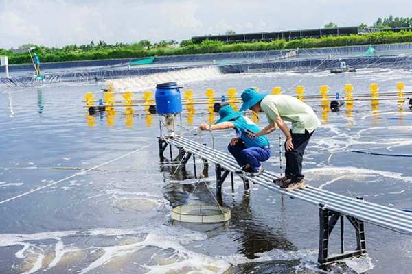 Đẩy mạnh cơ giới hóa nuôi trồng thủy sản tại Gia Lai