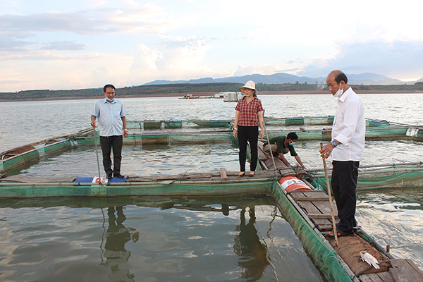 Gia Lai thực hiện tốt công tác quan trắc, cảnh báo môi trường giúp hạn chế dịch bệnh nuôi trồng thủy sản