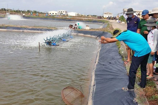 Đồng bằng sông Cửu Long (ĐBSCL): Giải pháp bảo vệ môi trường nuôi trồng thủy sản
