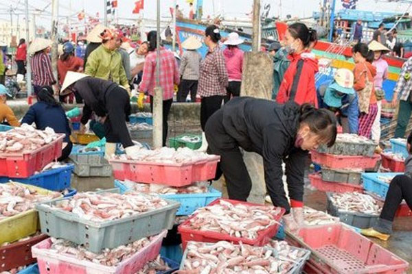 Đề xuất giải pháp hỗ trợ tiêu thụ hải sản cho ngư dân