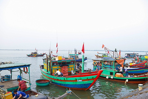 Hà Tĩnh: Tăng cường xác minh, xử lý đối với tàu cá vi phạm các quy định