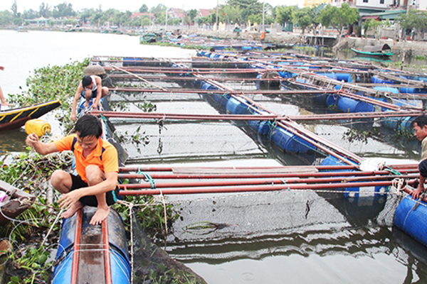 Hà Tĩnh: Phấn đấu sản lượng nuôi trồng thủy sản năm 2023 ước đạt 16.280 tấn
