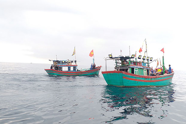 Hà Tĩnh: Tập trung quản lý tàu cá có nguy cơ cao vi phạm IUU