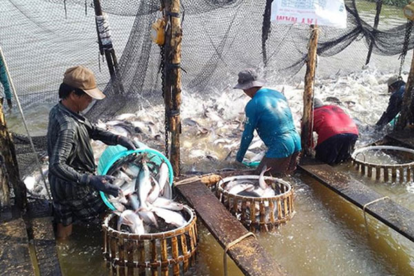 Thị trường hải sản Đông Nam Á đang được du khách Trung Quốc định hình lại