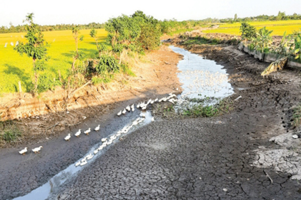 Phòng chống hạn hán, xâm nhập mặn ảnh hưởng đến nuôi trồng thuỷ sản vùng Đồng bằng sông Cửu Long