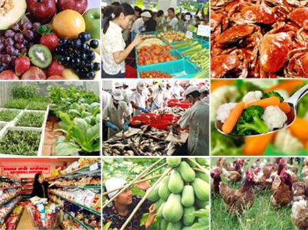 Đắk Lắk: Các chỉ tiêu Kinh tế nông nghiệp đều đạt và vượt kế hoạch 2020