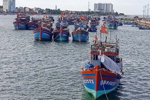 Quảng Bình: 100% tàu cá được cấp giấy phép khai thác thủy sản vùng khơi lắp đặt thiết bị giám sát hành trình