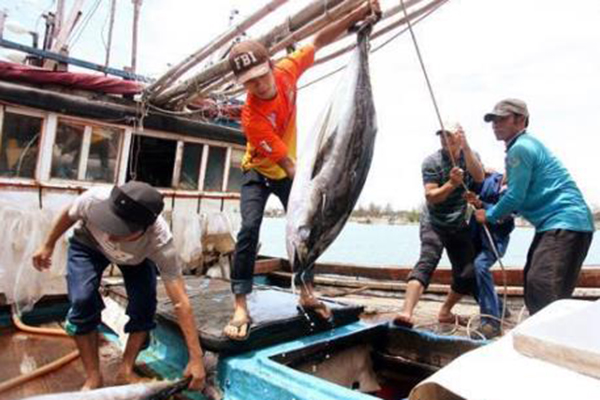 A Software System to Control Fishery Goods Imported into Vietnam Has Been