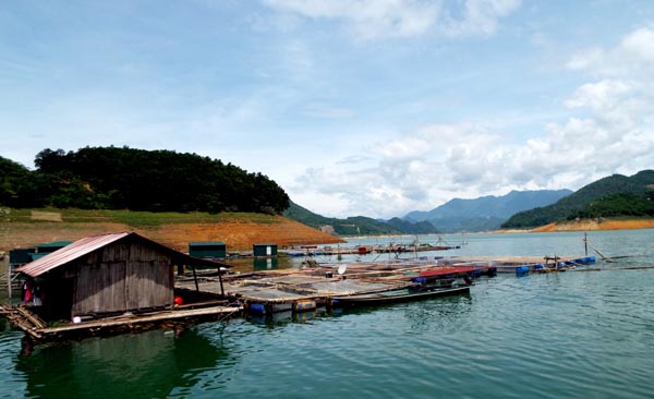 Hoa Binh province: More than 4,000 fish cages on Hoa Binh Lake