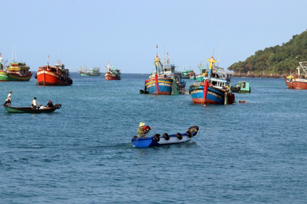 Hoạt động tàu cá qua VMS thể hiện tác động sinh thái của các đợt sóng nhiệt biển