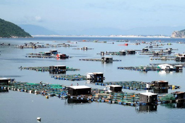 Việt Nam – Nhật Bản hợp tác phát triển thủy sản bền vững