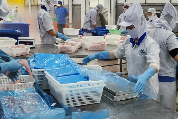 Thực hành giảm phát thải khí nhà kính trong chuỗi cá tra Việt Nam