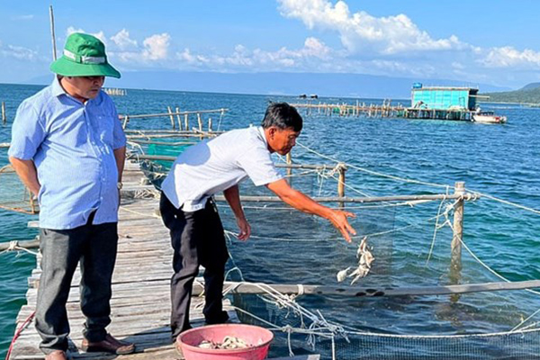 Hướng đi bền vững cho ngành nuôi biển Việt Nam