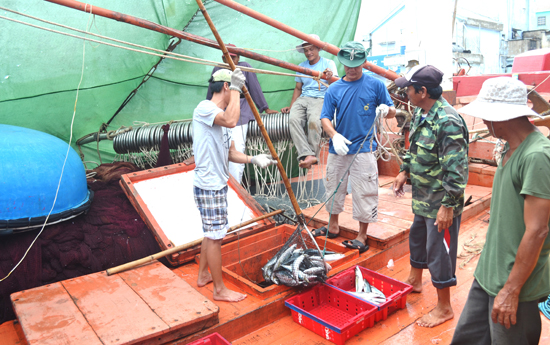 Quảng Nam: quy hoạch lại nghề khai thác hải sản