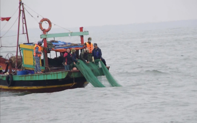 Từ năm 2018 đến nay, trên địa bàn thành phố Hồ Chí Minh không có tàu cá vi phạm về khai thác hải sản ở vùng biển nước ngoài
