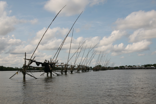 Đồng quản lý trong bảo vệ nguồn lợi thủy sản ở Cần Thơ dựa vào cộng đồng