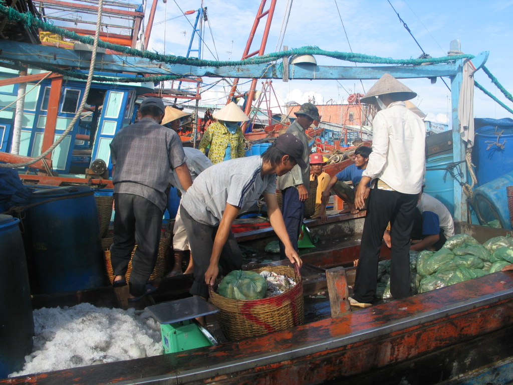 Granting offshore fishing quotas for over 31,500 fishing vessels