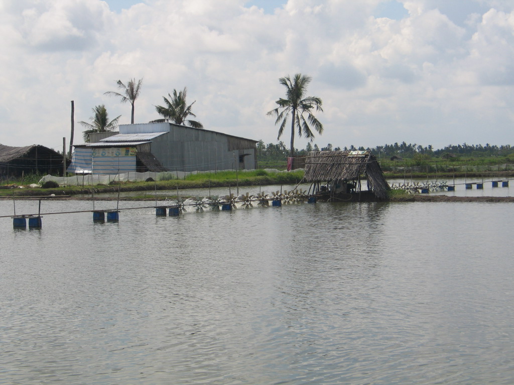 Viet Nam’s aquaculture sector in the first eleven months