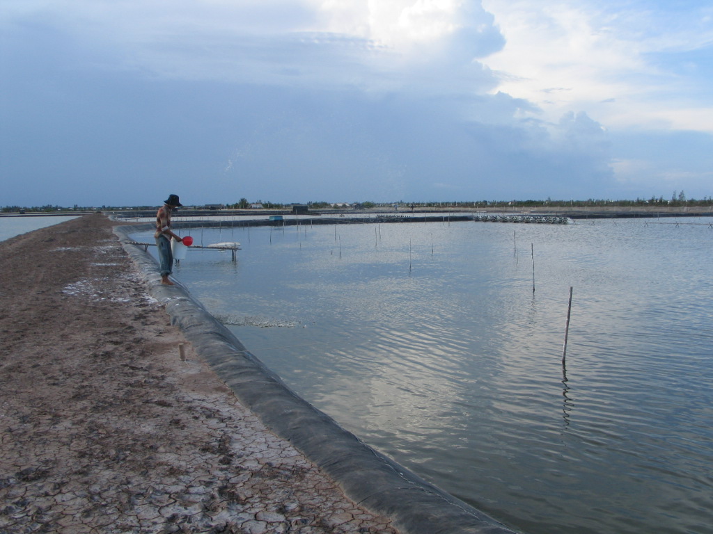 Binh Thuan province: STRENGTHENING THE EXPLOITATION AND AQUACULTURE