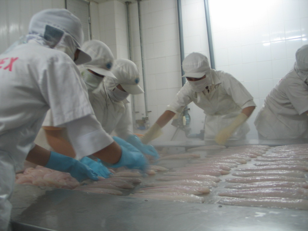 Seafood export expected to increase by 18 per cent