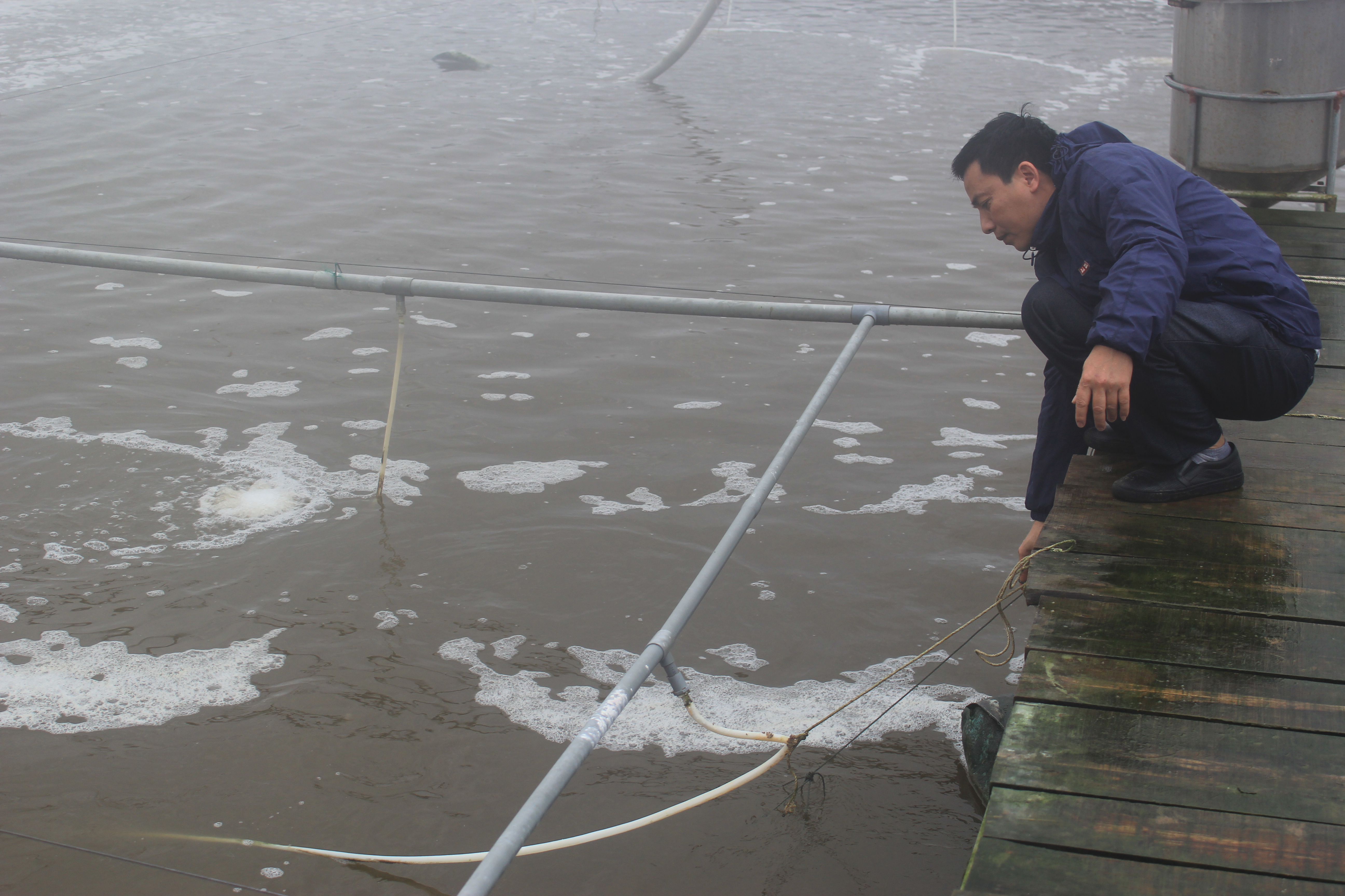 Aquaculture in the first four months
