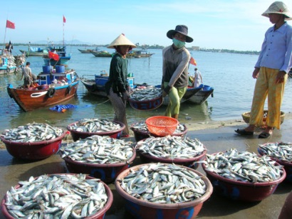 Bà Rịa – Vũng Tàu: Giá trị khai thác thủy sản tăng 4,2%; Giá trị nuôi trồng thủy sản tăng 4,5%