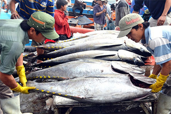 Phú Yên: Phấn đấu tăng trưởng ngành thủy sản giai đoạn 2015 - 2030 lên 5,2%/năm