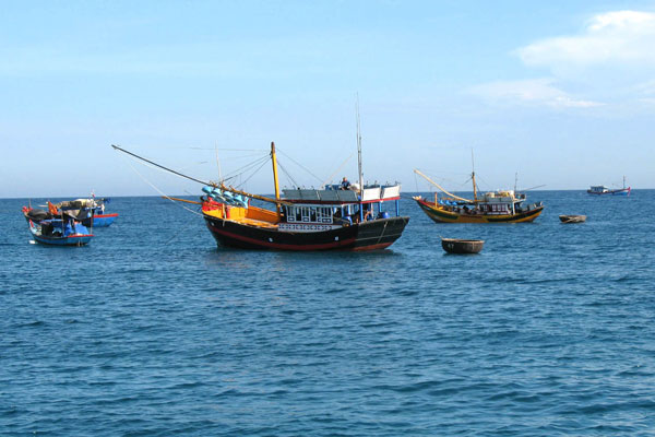 Biến đổi khí hậu có thể thay đổi ngư trường đánh bắt cá toàn cầu