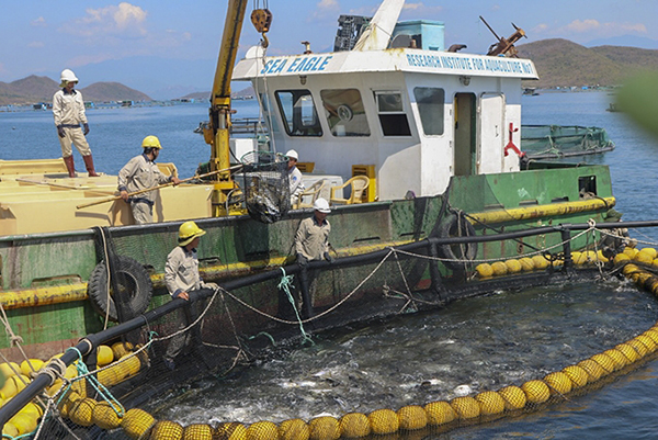 Khánh Hòa: Tăng diện tích nuôi biển xa bờ, phát triển nuôi công nghệ cao