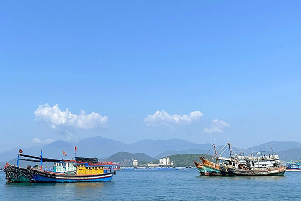 Khánh Hòa: Triển khai các nhiệm vụ, giải pháp trọng tâm chống khai thác
