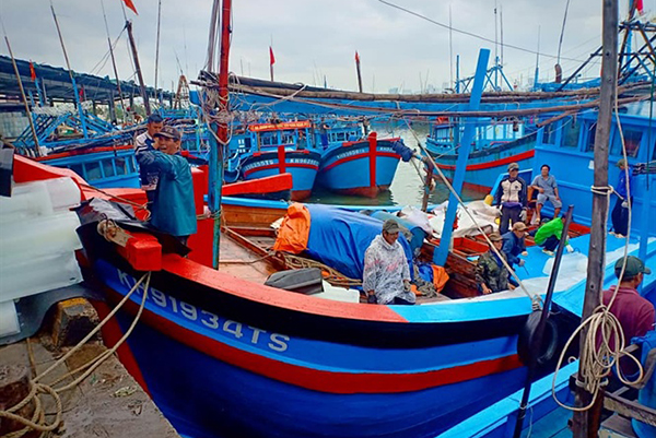 Khánh Hòa: Nhiều năm nay không có tàu cá vi phạm vùng biển nước ngoài