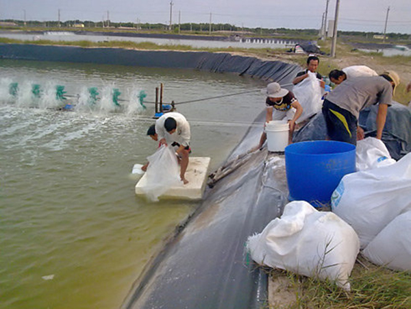 Bà Rịa – Vũng Tàu: Hướng dẫn khung lịch thời vụ nuôi trồng thủy sản năm 2021