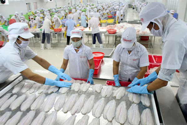 Kiểm soát An toàn thực phẩm tại công đoạn Nuôi, Thu hoạch cá và các sản phẩm cá bộ Siluriformes xuất khẩu sang Hoa Kỳ