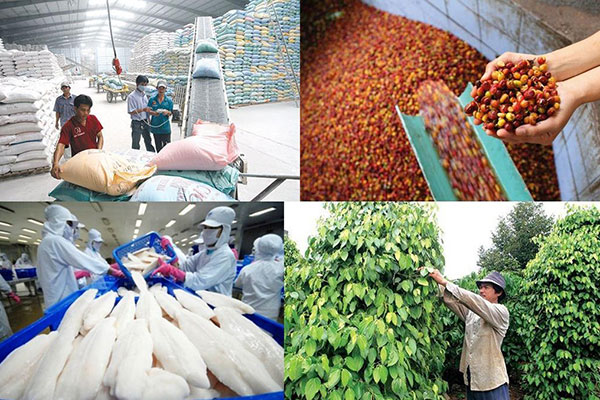 Kim ngạch xuất khẩu nông lâm thuỷ sản tháng 11 năm 2019 ước đạt 3,93 tỷ USD