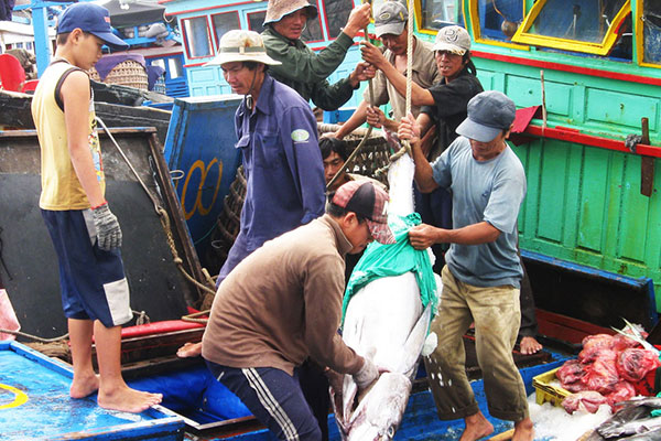 Phú Yên: Thanh tra, kiểm soát nghề cá tại các cảng cá và ngư trường trên địa bàn tỉnh