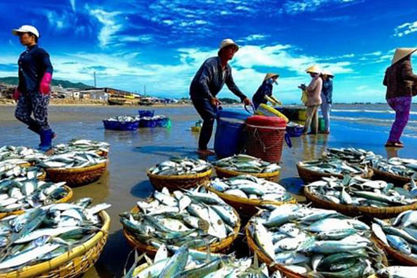 Làm thế nào việc giảm lãng phí có thể làm giảm giá hải sản, thúc đẩy tăng trưởng tiêu thụ