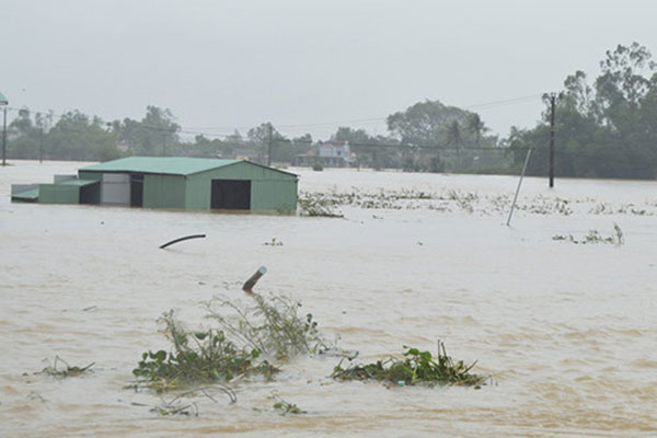 Thiệt hại ban đầu do mưa lũ ở các tỉnh miền Trung