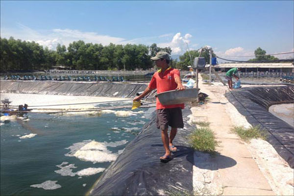 Giải pháp phát triển nuôi trồng thủy sản bền vững tại các tỉnh miền Trung