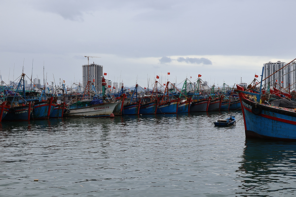 Phê duyệt quy hoạch hệ thống cảng cá, khu neo đậu tránh trú bão cho tàu