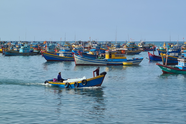 Mưu sinh mùa biển động