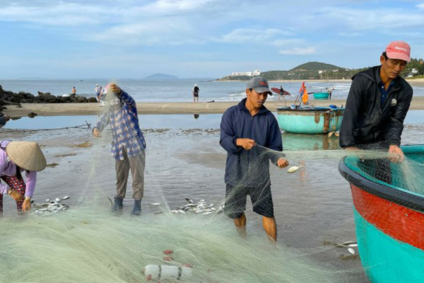 Mùa khó khăn của nghề cá: Gió Bắc, mưa bão và nỗi lo sinh kế