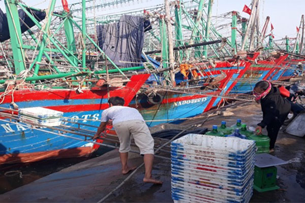 Nghệ An: xử phạt 02 chủ tàu cá vi phạm hành chính trong khai thác thủy sản