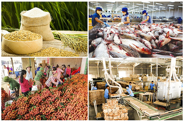 Đưa giá trị xuất khẩu nông lâm thủy sản của Việt Nam đạt khoảng 60-62 tỷ USD vào năm 2030