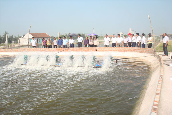 Nam Định: Tăng cường quản lý vật tư đầu vào trong nuôi trồng thủy sản