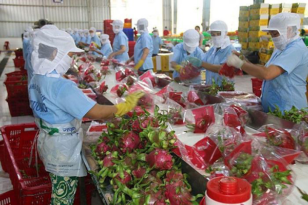 Nâng cao khả năng cạnh tranh của nông sản Việt tại thị trường quốc tế